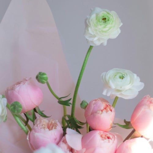 Ranonkels Wit & Roze Mix