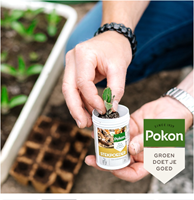 Stekpoeder - Pokon-2