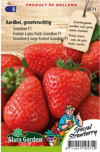 Aardbei Grandian F1-2