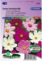 Cosmos Sensation Mixed-2