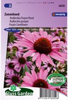 Zonnehoed purpurea - Echinacea purpurea-2