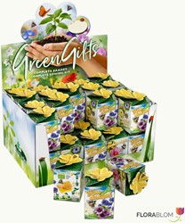 Greengift Bijenmengsel 40 stuks in showdoos