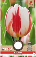 Tulp Carnaval de Rio - Tulipa