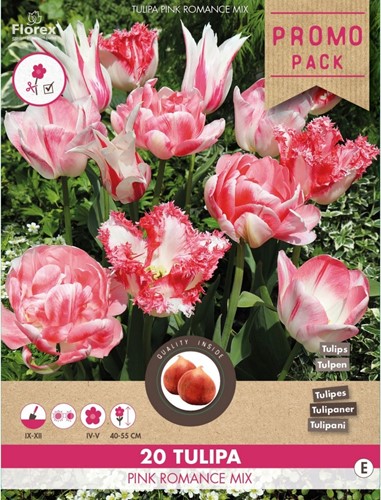 Tulp Pink Romance Mix