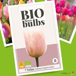 Tulp Salmon Impression - Biologisch