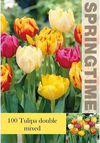 Tulpen Dubbel Mix - Tulipa double Grootverpakking (XL)