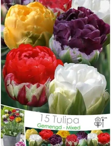 Tulpen Ice Cream Mix