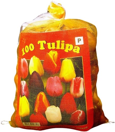 Tulpen Triumph Mix - Tulipa (XL-Verpakking)