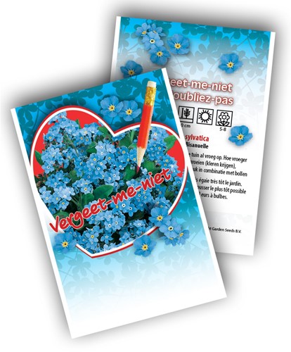 Vergeet-mij-niet - Myosotis-2
