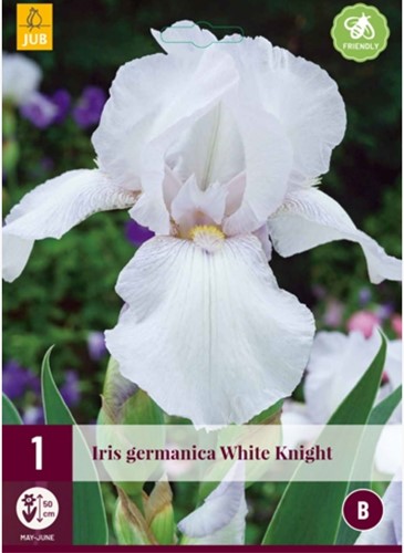 Iris Germanica White Knight - Blauwe Lis
