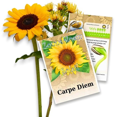 Zonnebloem zakjes persoonlijk bedrukt - 20 stuks